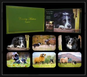 COLLIE PLACEMATS